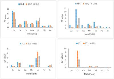 Comparative Spatial Assessment of Trace Metal(loid) Pollution in the Sediments of the Lower Olifants River Basin in South Africa